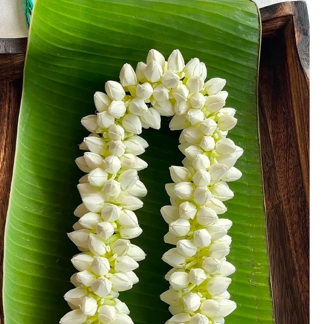 Jasmin artificial flowers
